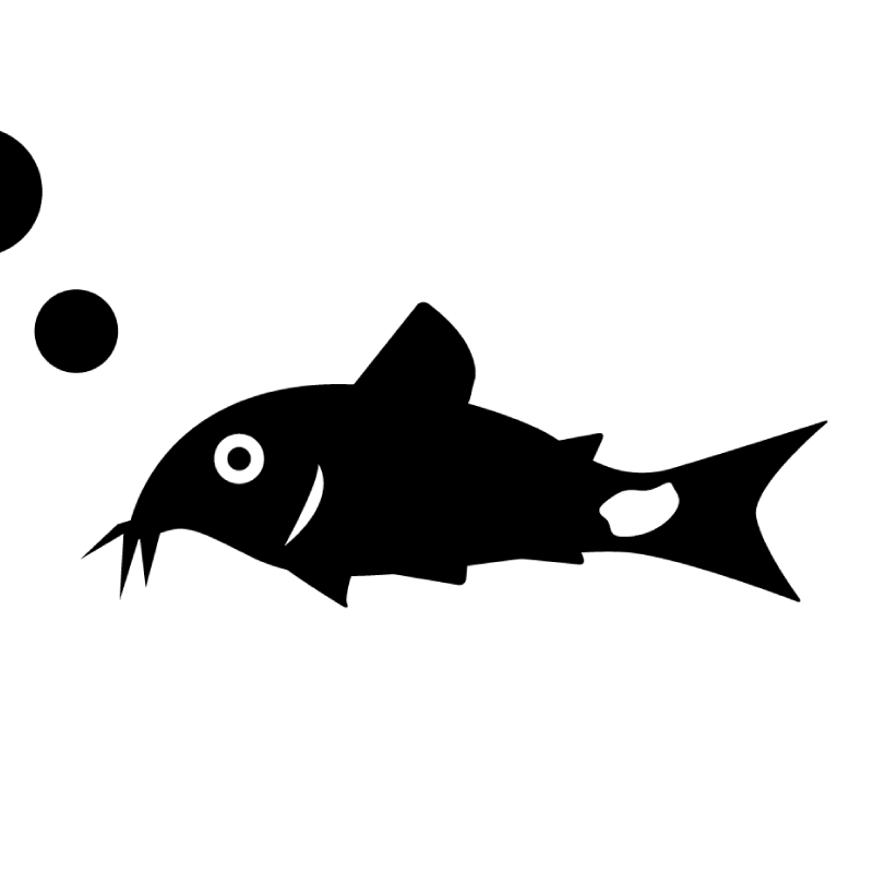 エーハイム2213サブフィルターで流量は低下するのか コリドラス パラレルス コルレア の飼育記録