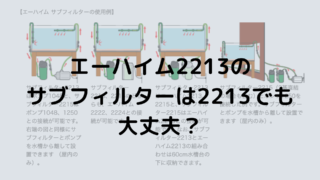 エーハイム2213サブフィルターで流量は低下するのか コリドラス パラレルス コルレア の飼育記録