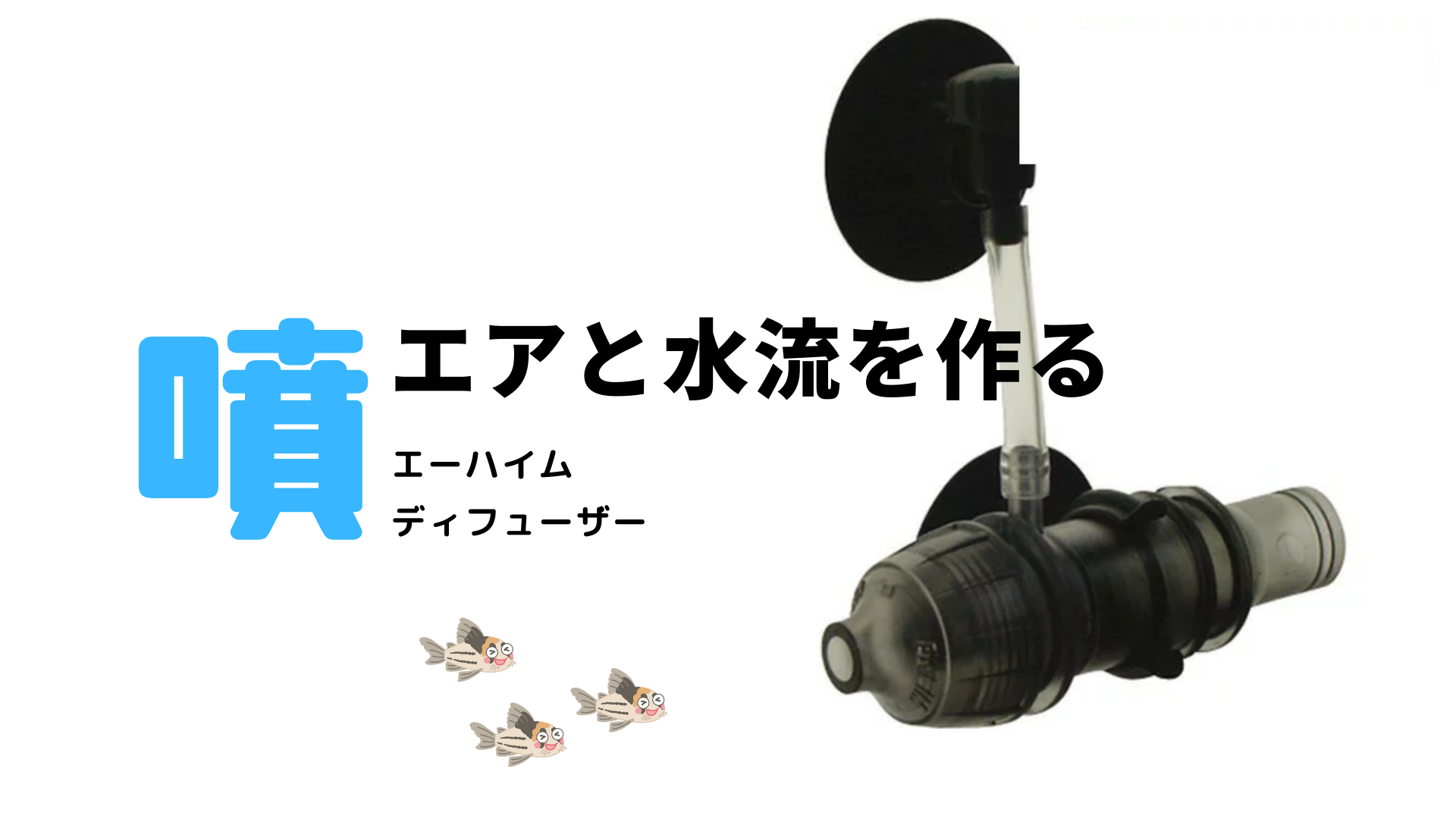 おすすめ】エーハイムディフューザー エアーがでないトラブル対策も解説【レビュー】 – コリドラス・パラレルス（コルレア）の飼育記録