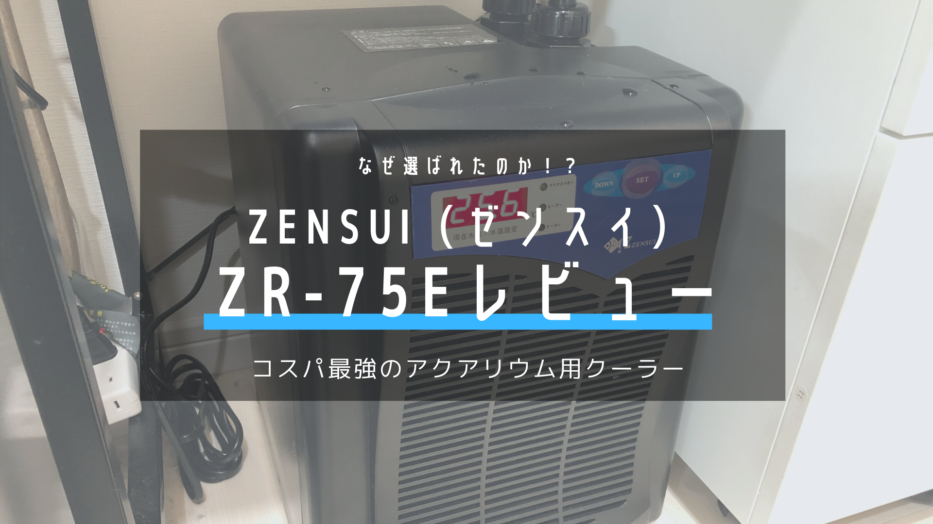 レビュー Zensui ゼンスイ Zr 75eを選んだ理由 コリドラス パラレルス コルレア の飼育記録