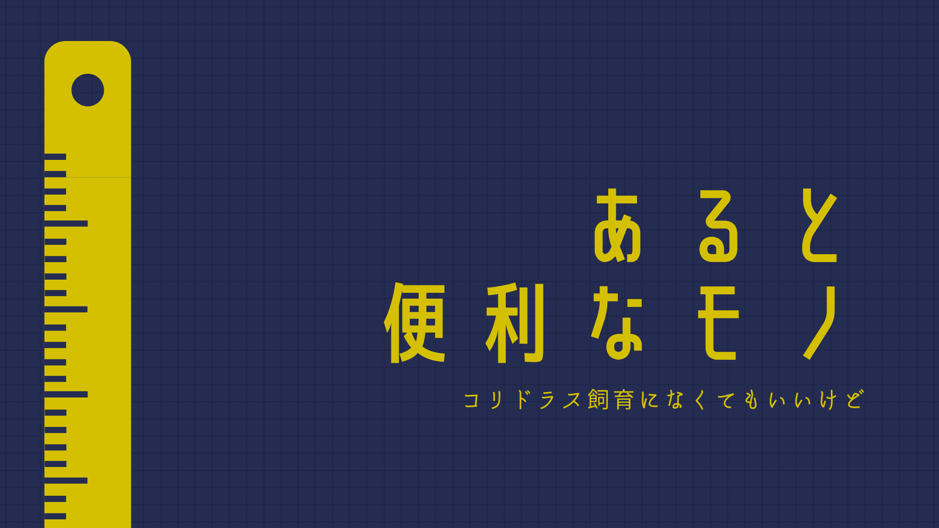 コリドラスブリードでなくてもいいけど あるとすごく便利なモノ コリドラス パラレルス コルレア の飼育記録