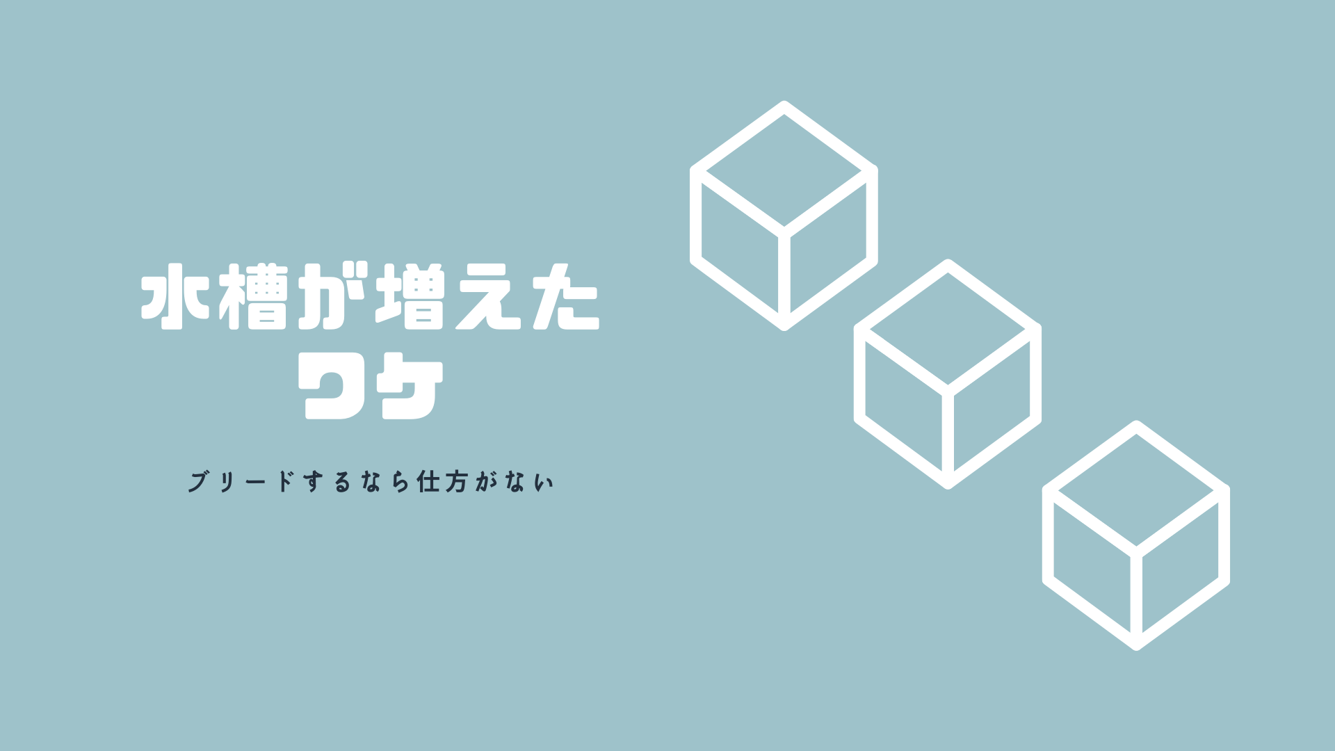 水槽を３本に増加させた理由